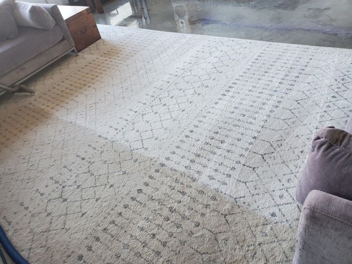 Residential/Commercial Carpet Cleaning 1 Room/Office with an Accident